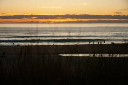 people on beach during sunset