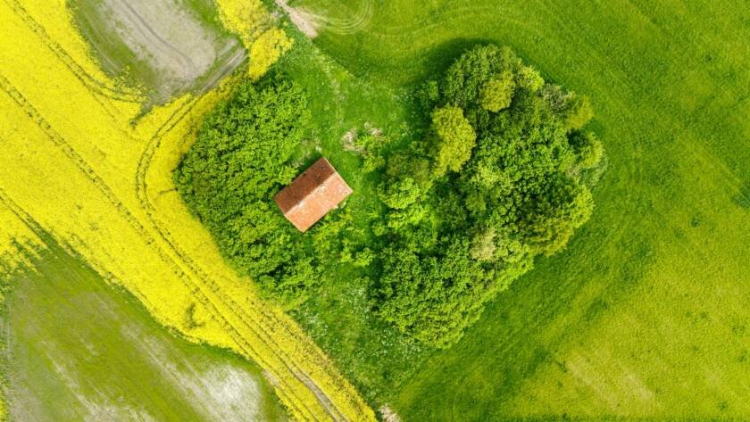 home in the heart