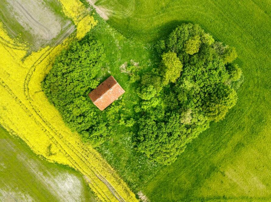 home in the heart