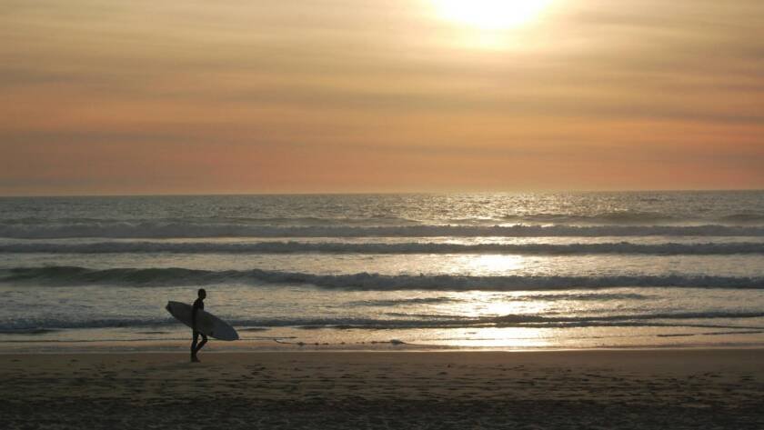 surfer on beach at dawn