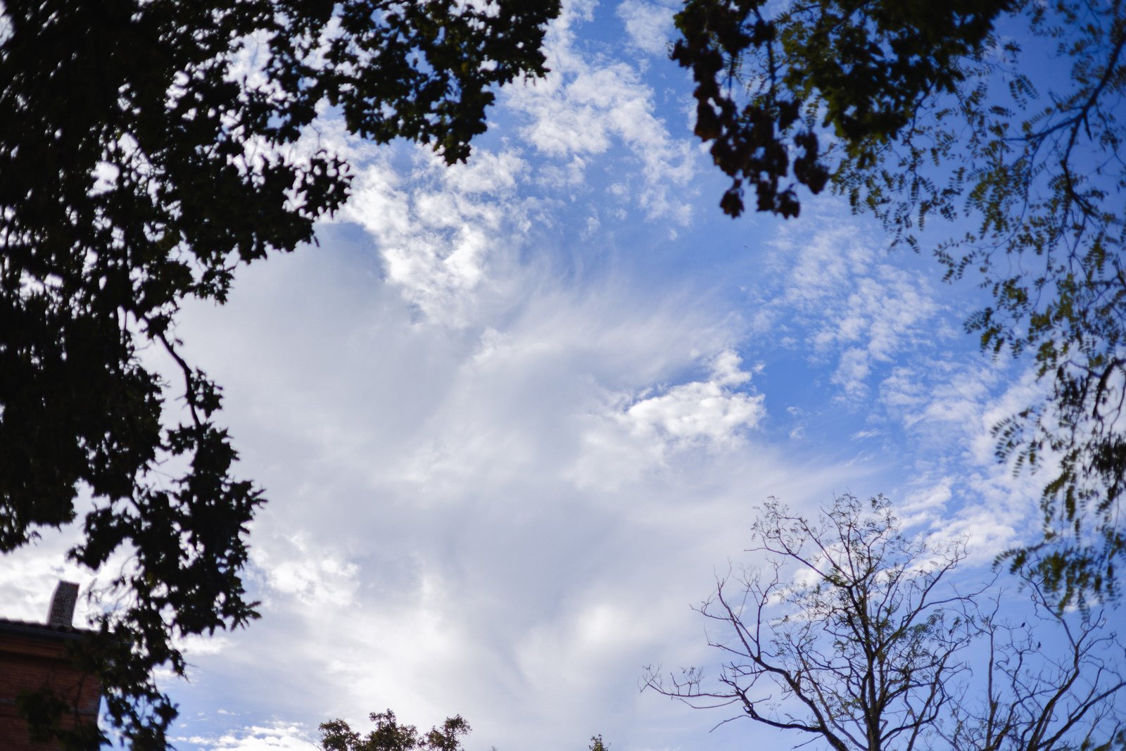 Jeffrey_Lilia-25_resultat