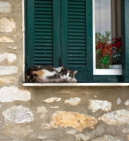 pexels-neamt-victor-34807113-26152822 pexels-neamt-victor-34807113-26152822